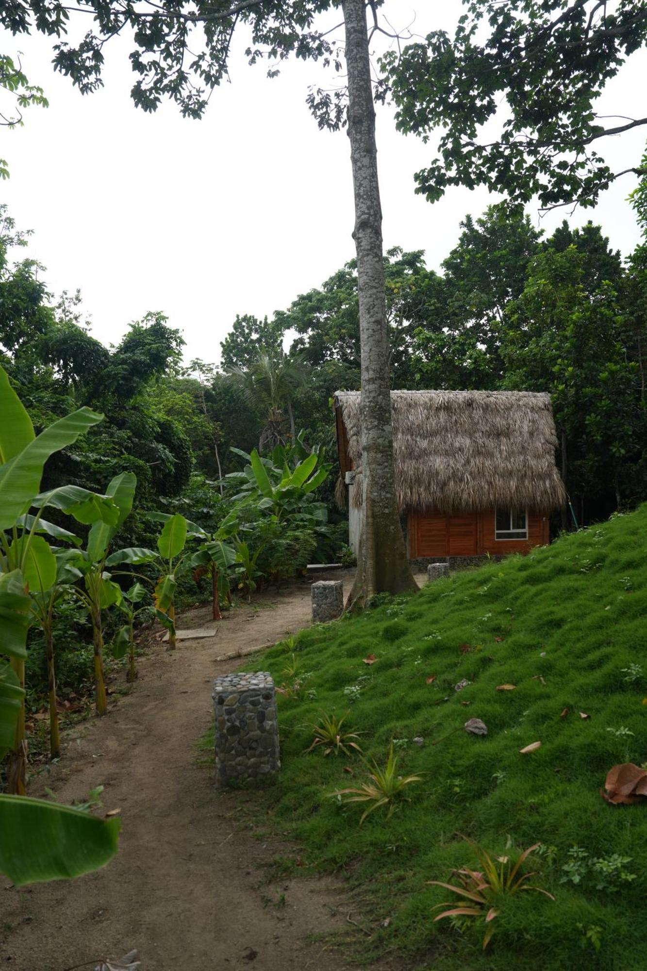 Tiny Houses Unique Tayrona - Dentro Del Parque Tayrona El Zaino Exterior photo