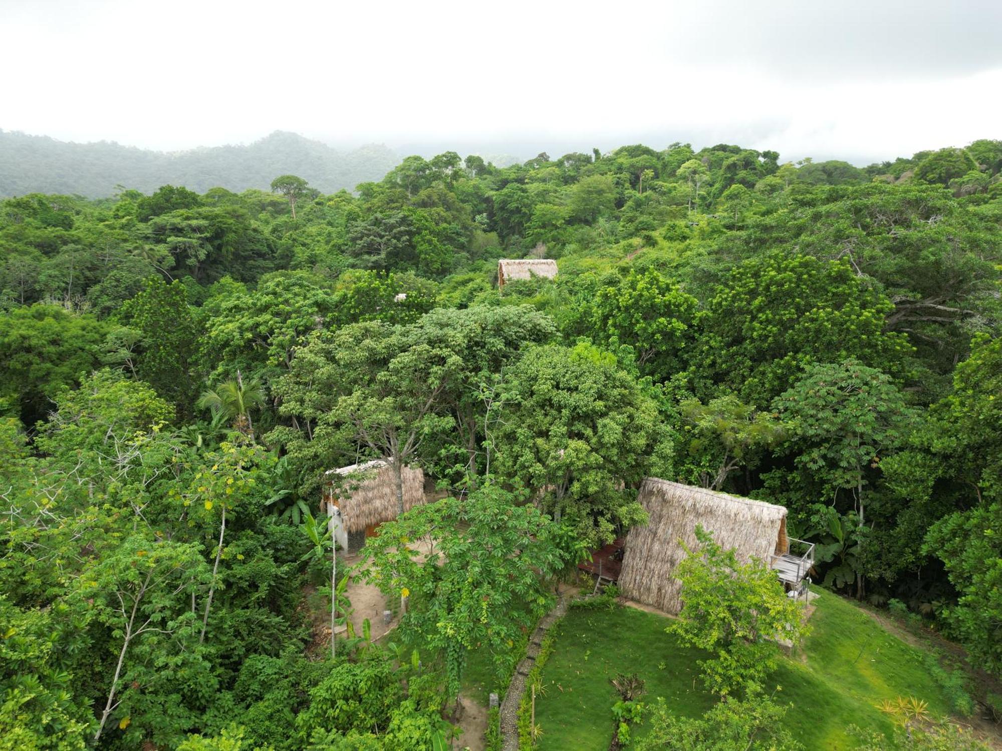 Tiny Houses Unique Tayrona - Dentro Del Parque Tayrona El Zaino Exterior photo
