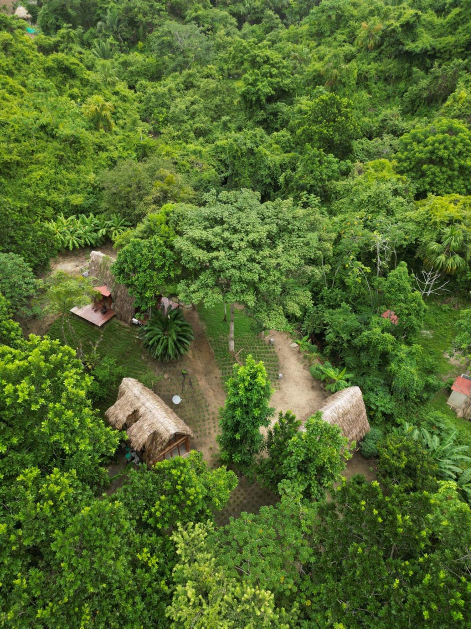 Tiny Houses Unique Tayrona - Dentro Del Parque Tayrona El Zaino Exterior photo