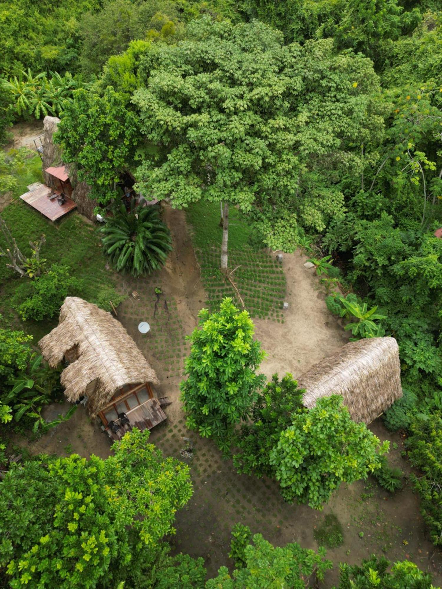 Tiny Houses Unique Tayrona - Dentro Del Parque Tayrona El Zaino Exterior photo